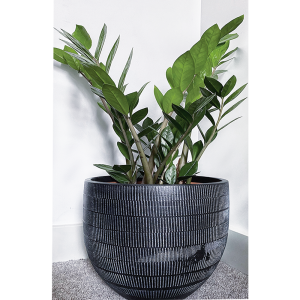 a london brand flower plant pot and potter